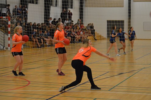 dodgeball_496x330.jpg